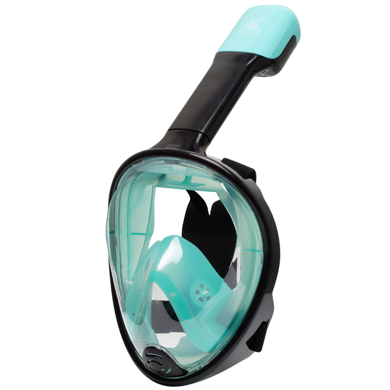 Sea Turtle - Snorkelmasker - Volwassenen - Zwart/Turquoise