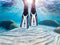 Amika - Palmes de natation - Adultes - Blanc